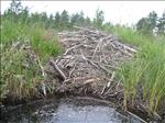 Sweden 2006-07 129
